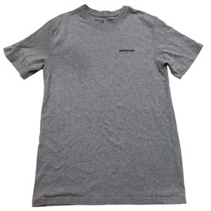 Patagonia Mens Gray Tee